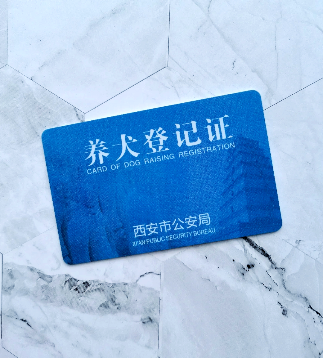 《犬只免疫证明》